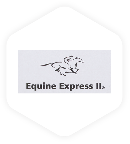 Equine Express II