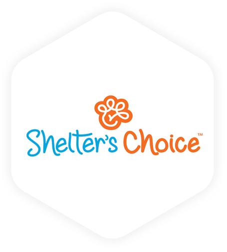 Shelter's Choice