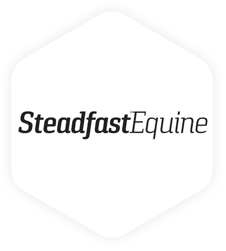 Steadfast