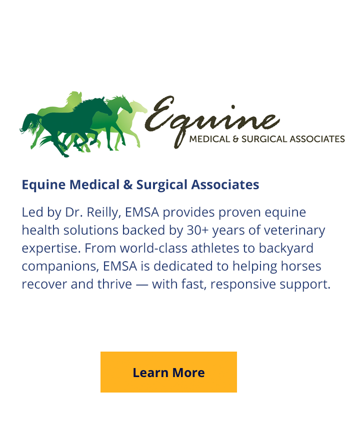 EMSA