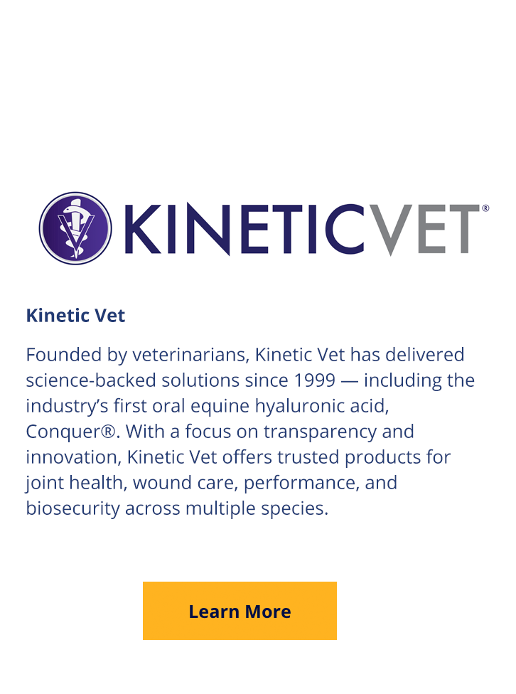 Kinetic Vet