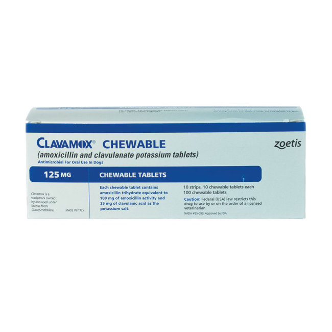 How Do You Give Clavamox To A Dog