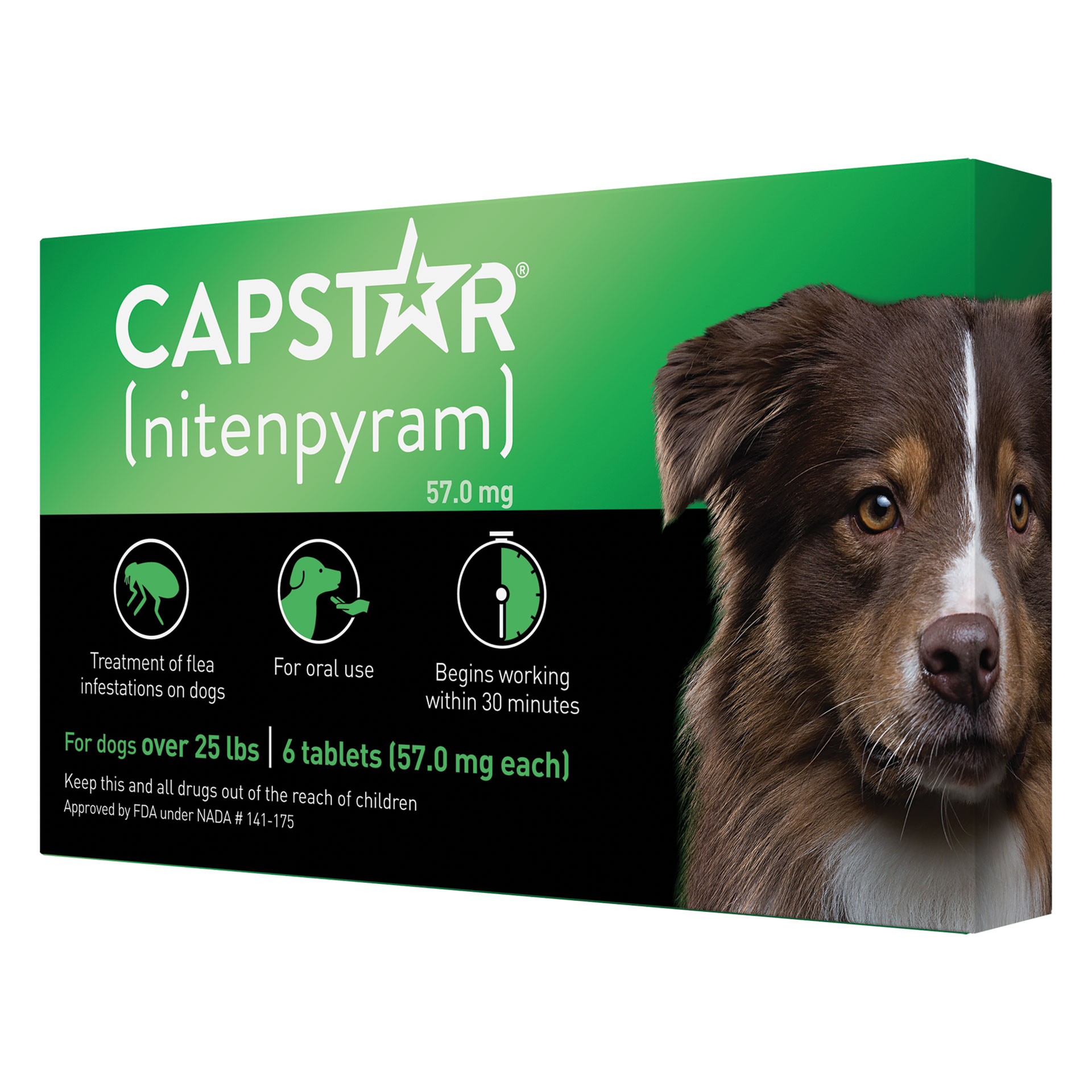 Capstar™ Revival Animal Health