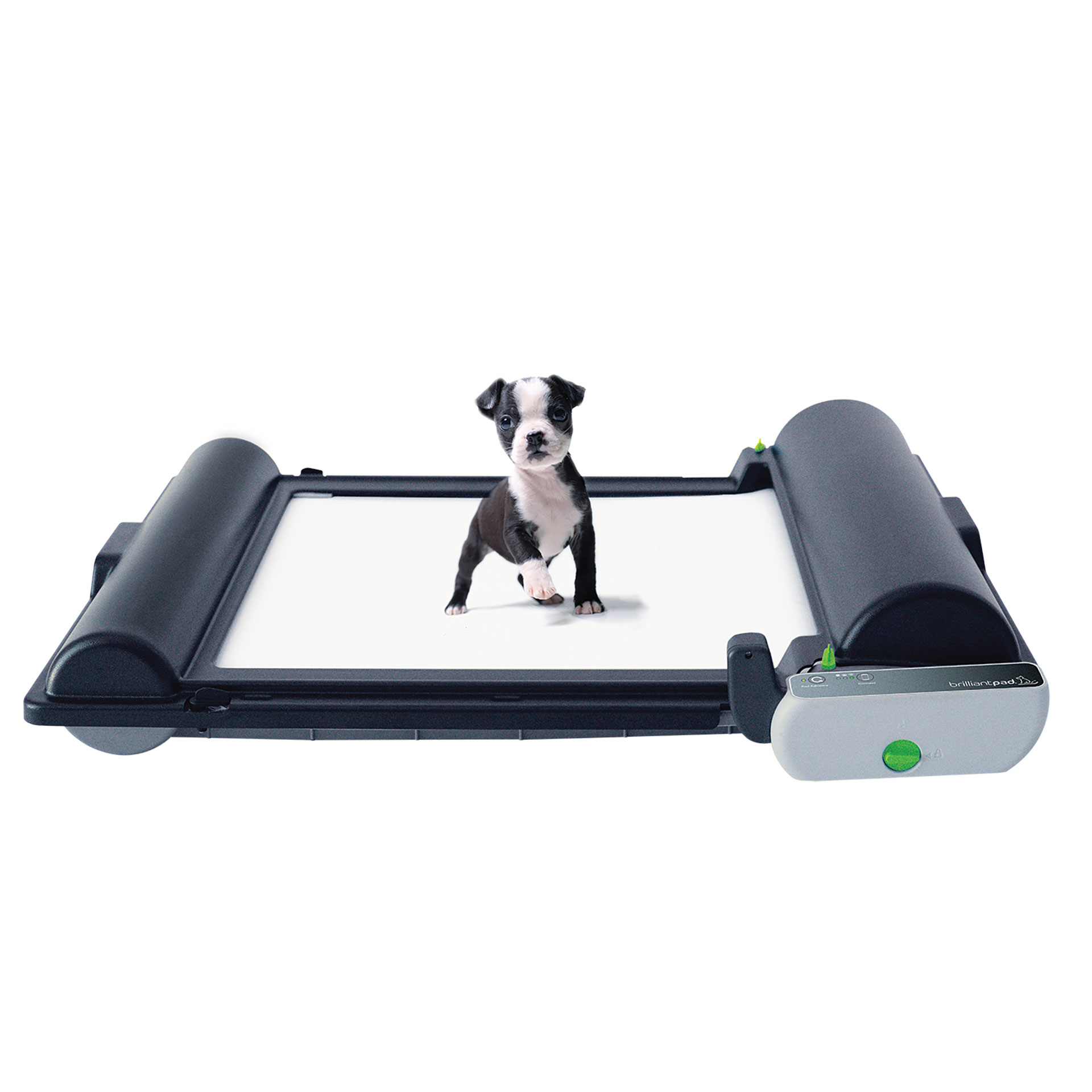 BrilliantPad Pro | Revival Animal Health