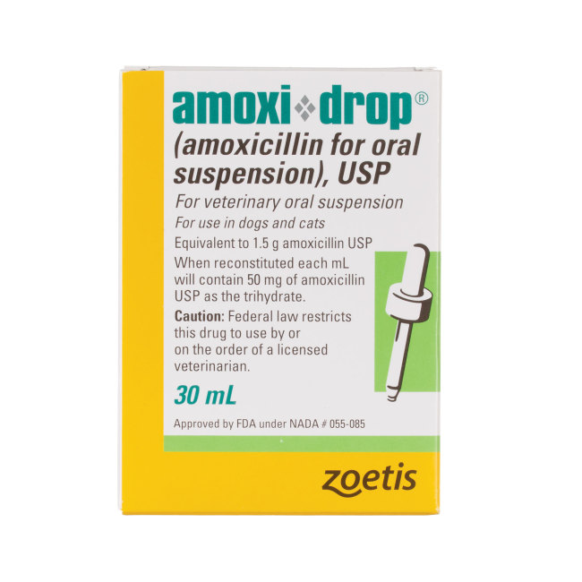 Amoxicillin order