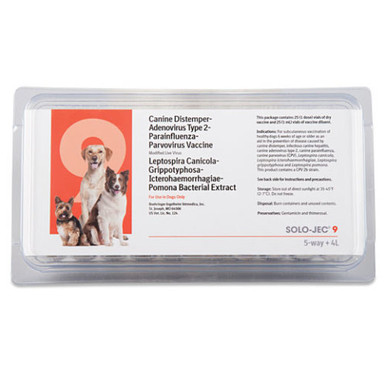 Canine Leptospirosis Vaccine Dog Lethargic After Lepto Vaccine