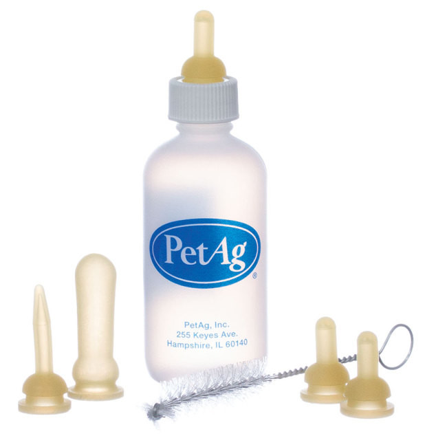 Pet Ag PetAg Nursing Kit w/Brush 2oz