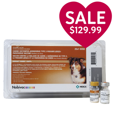 Typical vaccination schedule for puppies and adults
