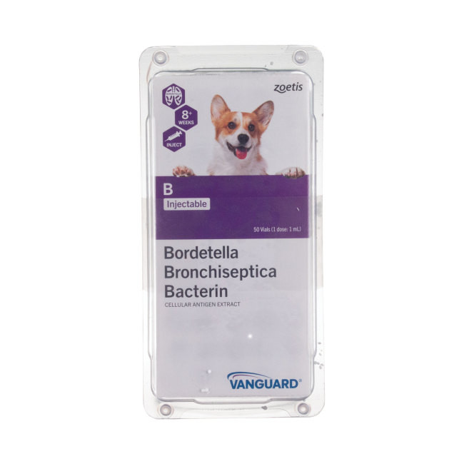 Vanguard B Injectable (Bronchicine CAe) - Revival Animal Health