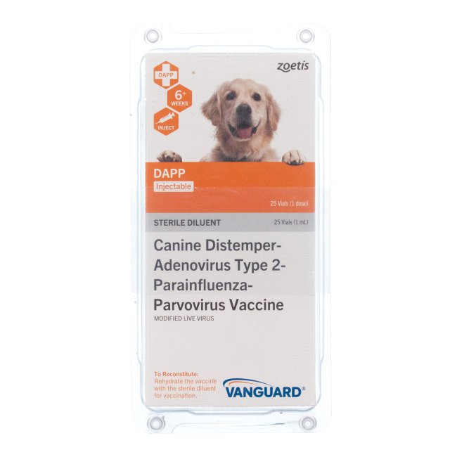 How To Protect Puppy From Parvo