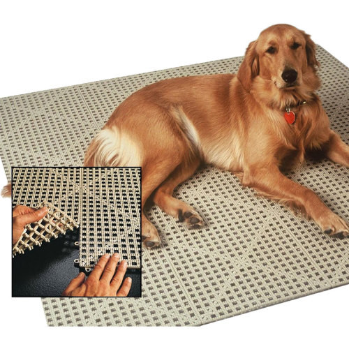 Crate rest: flooring for recovering dogs – The Rehab Vet