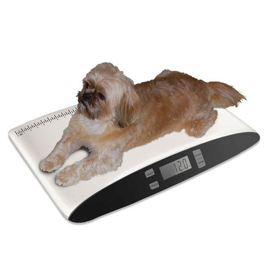 Precision Digital Pet Scale