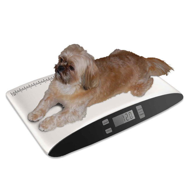 Digital Pet Scale, Cat Scale, Small Animal Weight Scale Portable Electronic  LED Scales(Max. 22 lbs), Multifunction Kitchen Scale for Weighing