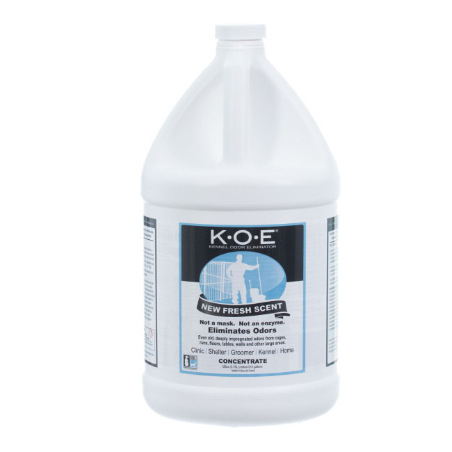 Kennel odor cheap
