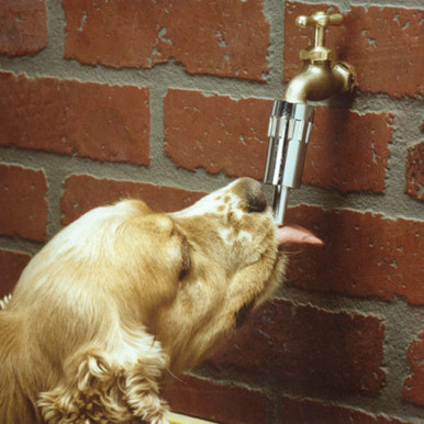 Lixit Dog Faucet Waterer L-100