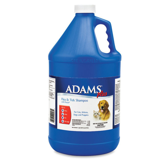 adams plus flea and tick shampoo