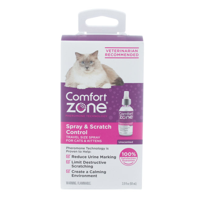 Dumb discount cat spray