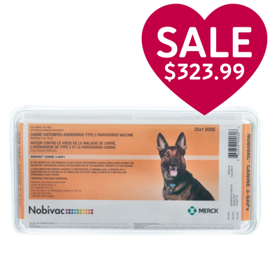 Nobivac NXT Canine Flu H3N2 | Revival Animal Health