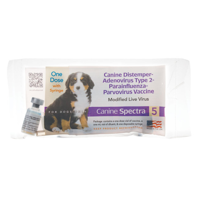 What Is A 5 In 1 Dog Vaccine