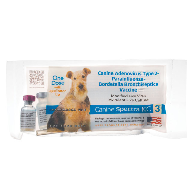 What Is A 10 In 1 Shot For Dogs