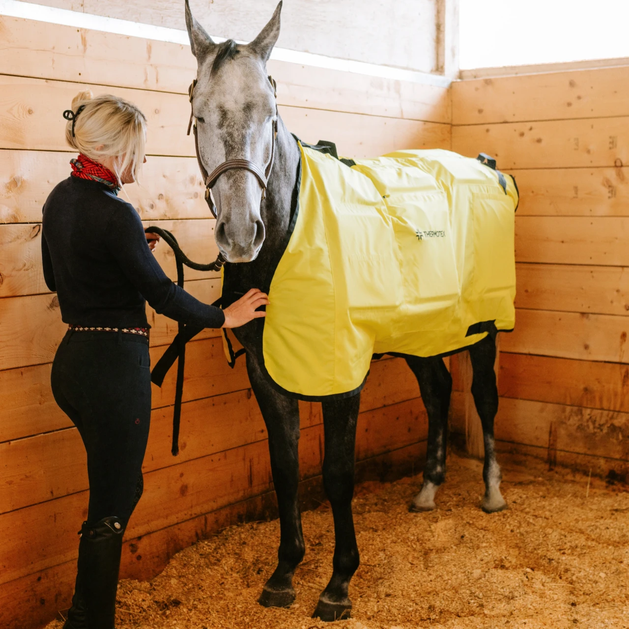 Equine Far Infrared Heating 12 Pad Blanket by Thermotex | Revival