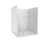 Walk in Shower 60 X 60 inch (EZA6060BF5P1.125C)