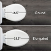 round vs elongated seat