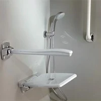 Shower Grab Bars