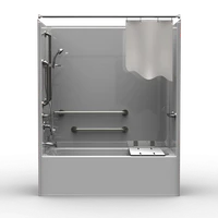Accessible Bathtub Shower Combos