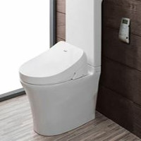 Bidet Toilet Seats
