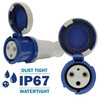 379318 Connector carries an environmental rating of IP67 Watertight