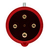 Walther Electric 260406 Plug (Pins)
