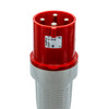 Walther Electric 260406 Plug (Close Up)