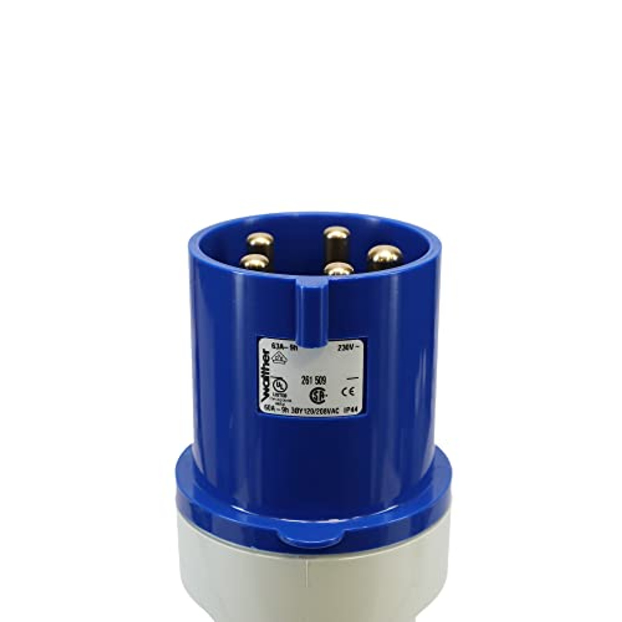 Walther Electric 261509 Pin and Sleeve Plug 60A/63A 5 Wire 3ØY 120/208 VAC 9Hr IP44 Splashproof - 560C9 Industrial Grade IEC (Blue)
