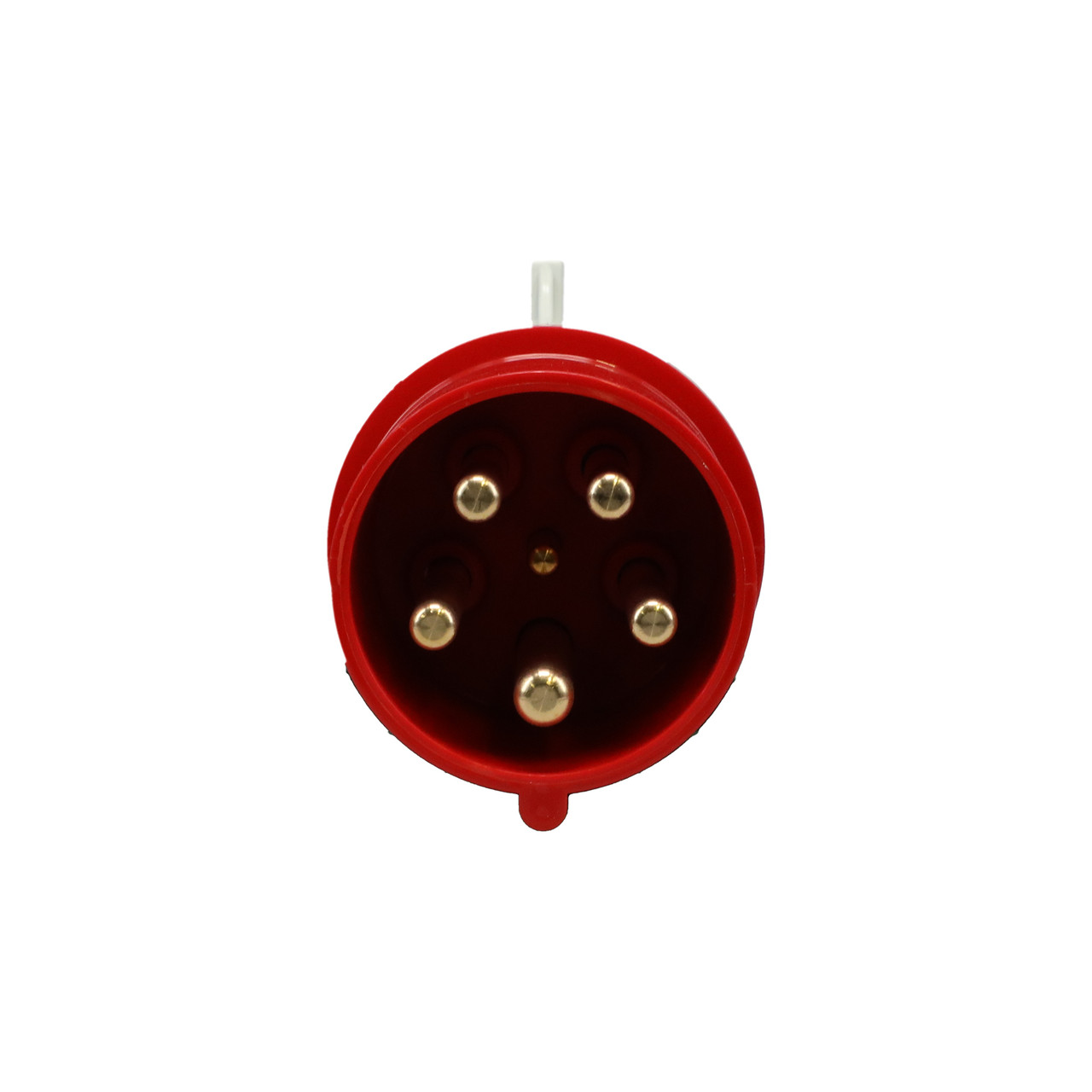 Walther Electric 261 Pin and Sleeve Plug 63A 5 Wire 400 VAC 6Hr