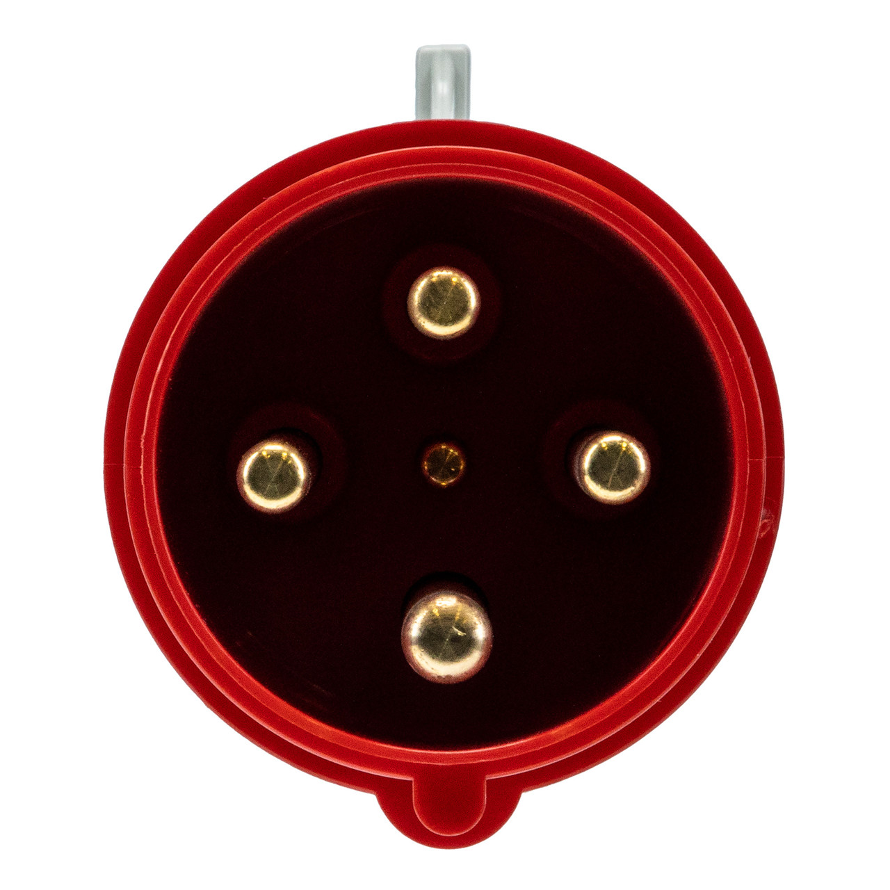 Walther Electric 260406 Plug (Pins)