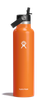 Standard Mouth 24oz Insulated Water Bottle w/ Flex Straw
