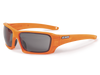 ESS Rollbar Tactical Sunglasses