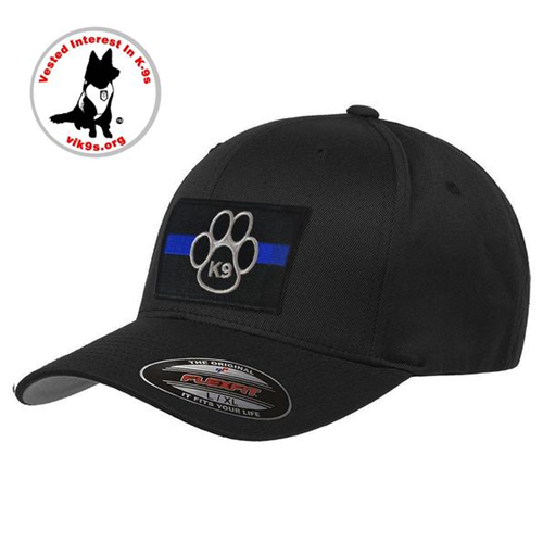 FlexFit Skull Thin Blue Line Hat