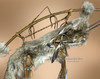 Old Style Navajo Coyote Bow & Quiver Set