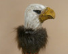 Eagle Head Creek Talking Stick
