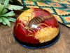 Dome Scorpion Paperweight -Medium