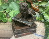 Rear View Bronze Box -Owl On Books