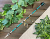 Navajo Painted Arrow -Teal & White