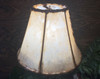 Rawhide Lampshade