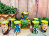 Mexican Talavera Pitcher & Cup Set