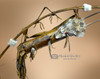 Navajo Bow and Coyote Pelt Quiver Close-up