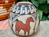 Hand Painted Mata Ortiz Seed Pot