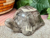 Navajo Etched Horsehair Pottery Turtle
