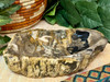 Antient Wood Fossil